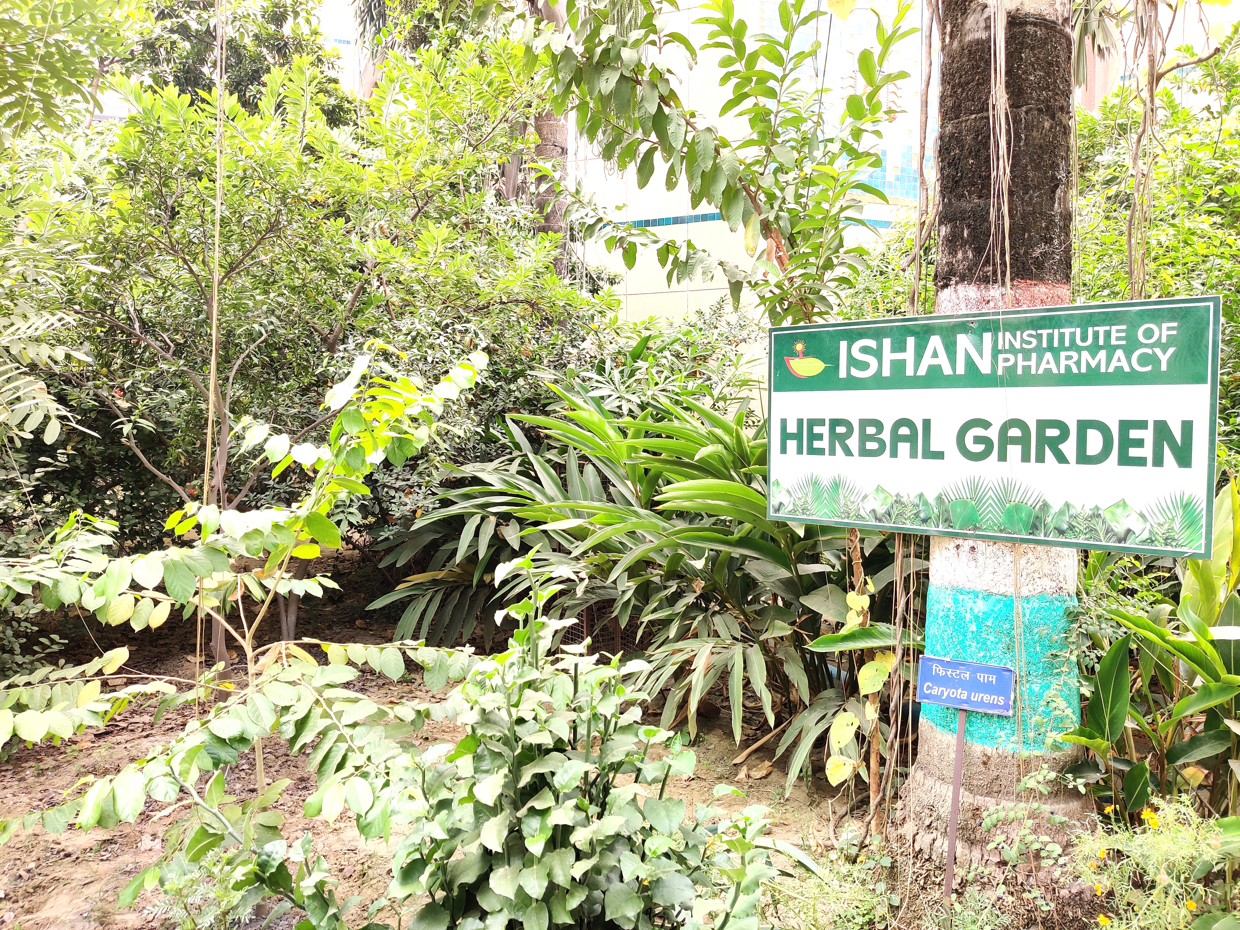 Green Campus Steps - photo 2