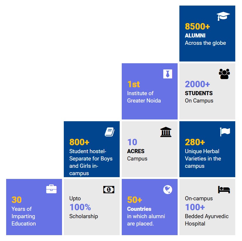 Excellent Placement Record at IIMT