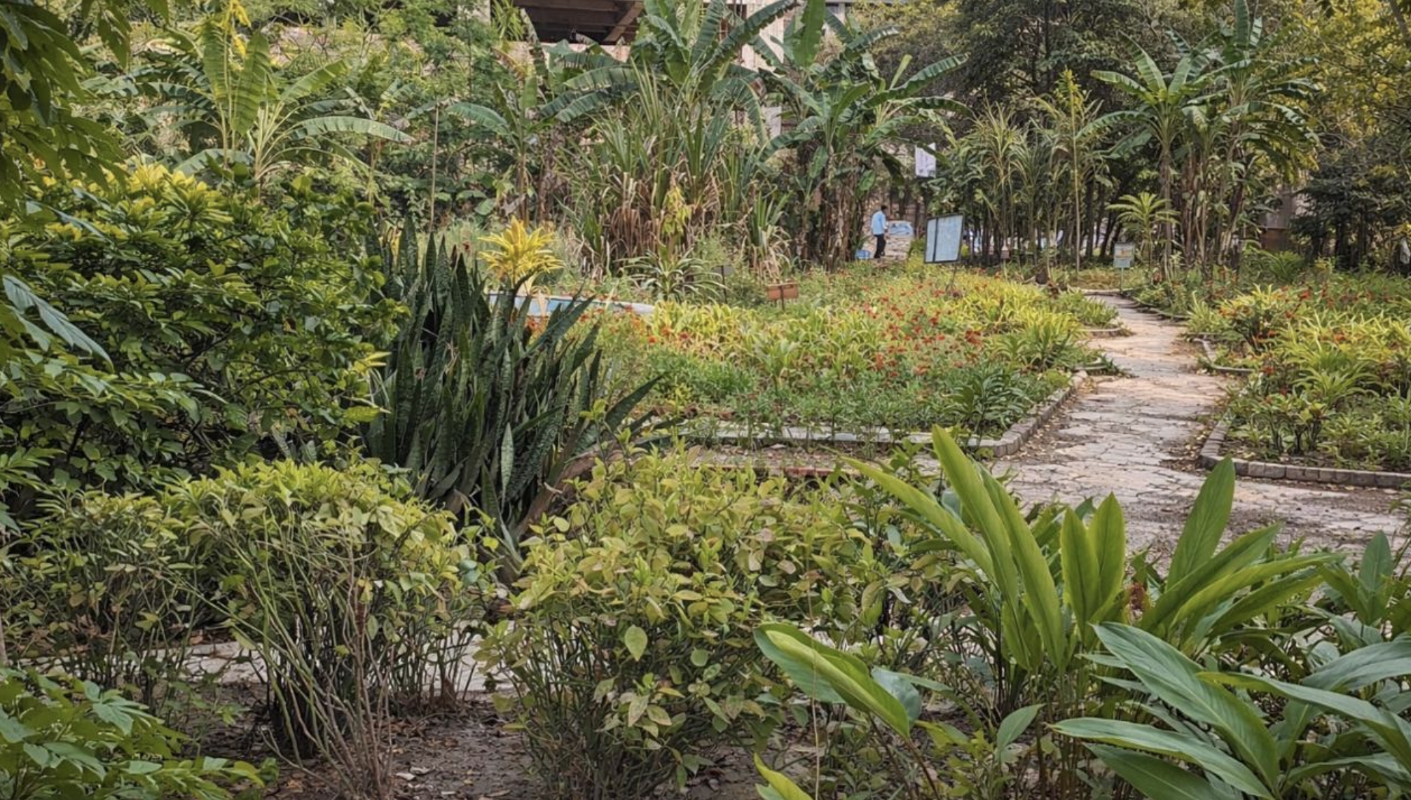 Campus feature