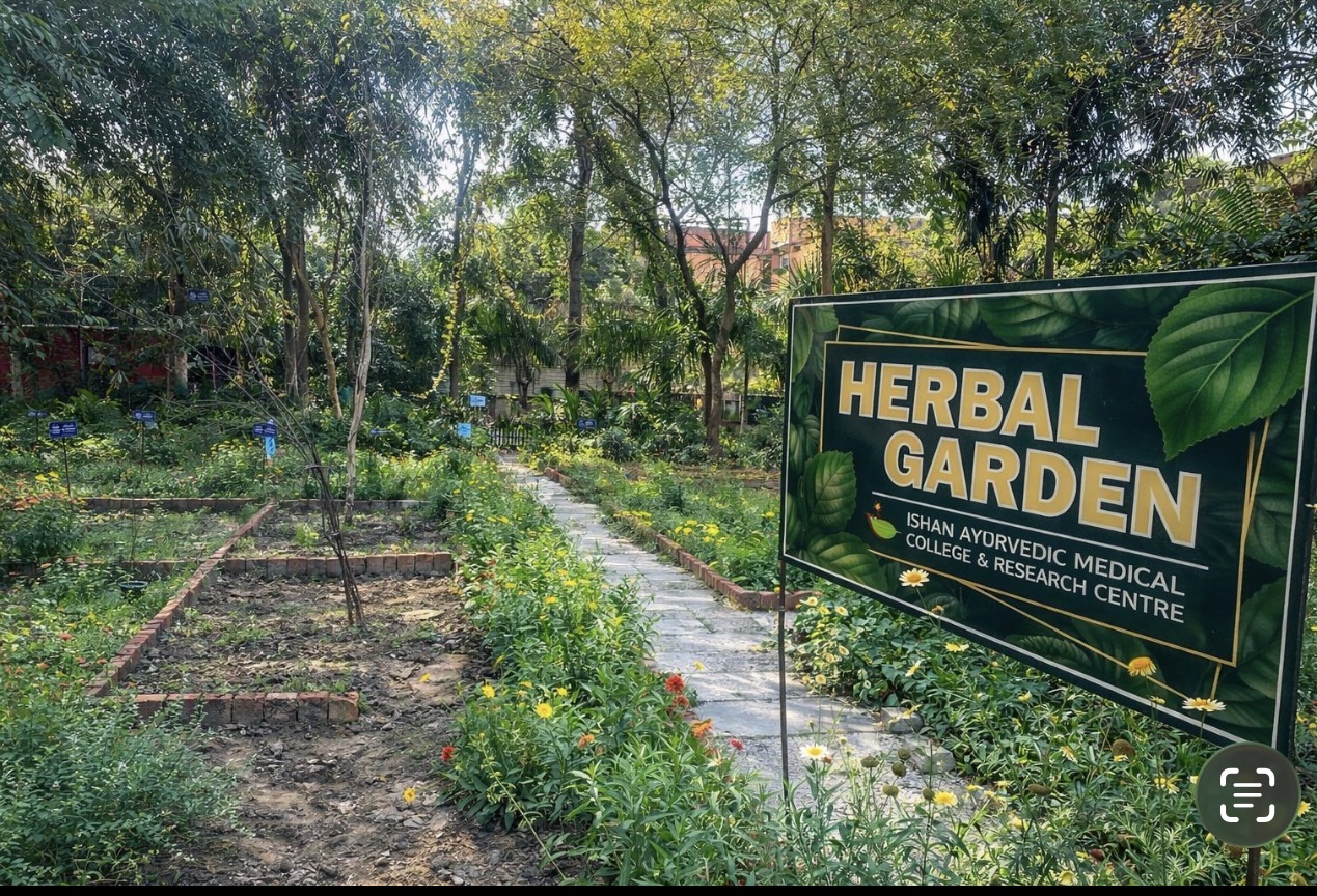 Rich Biodiversity & Herbal Garden - 2